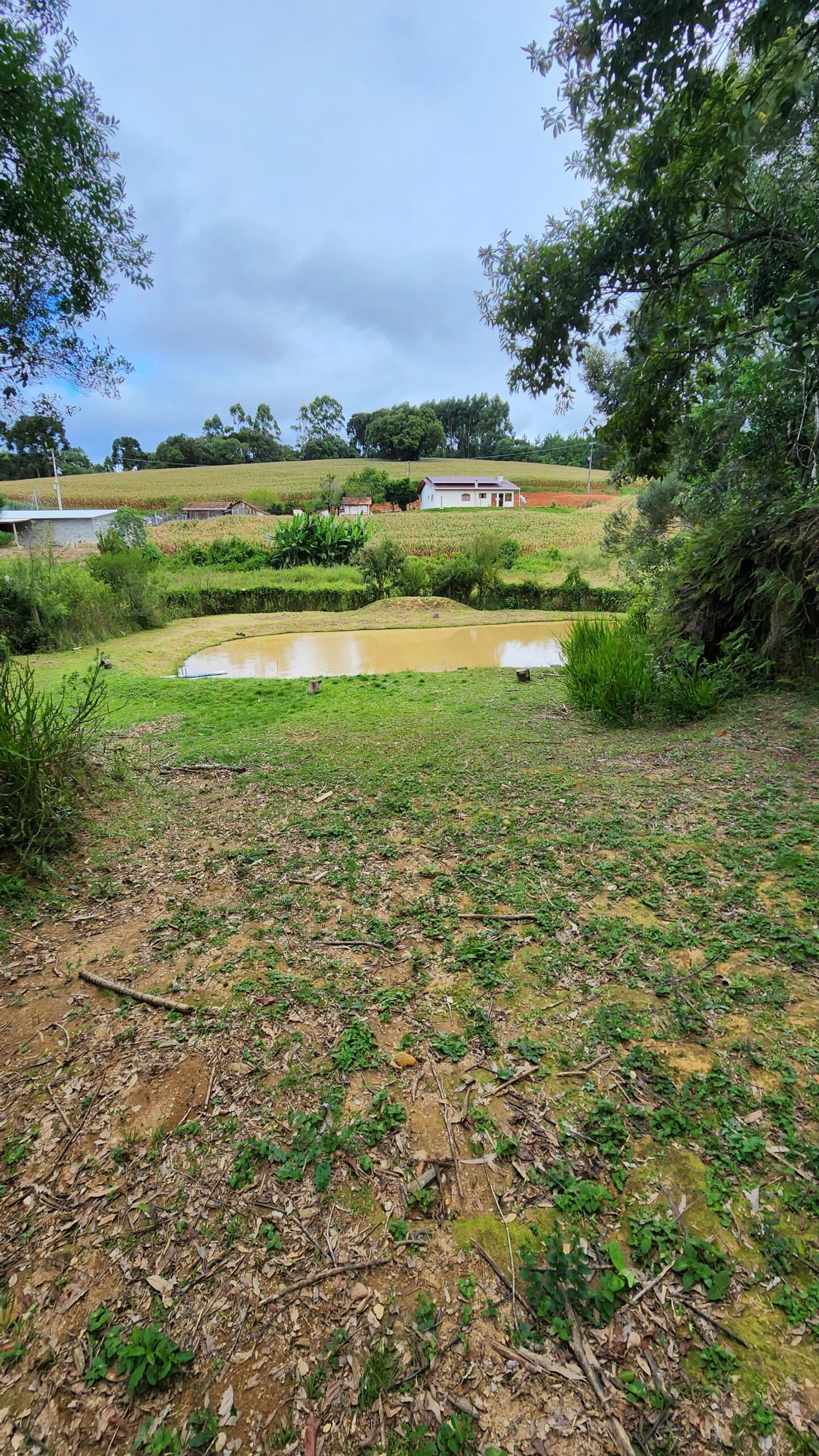 b007e879-aefb-4337-9a7d-38c36a60d558