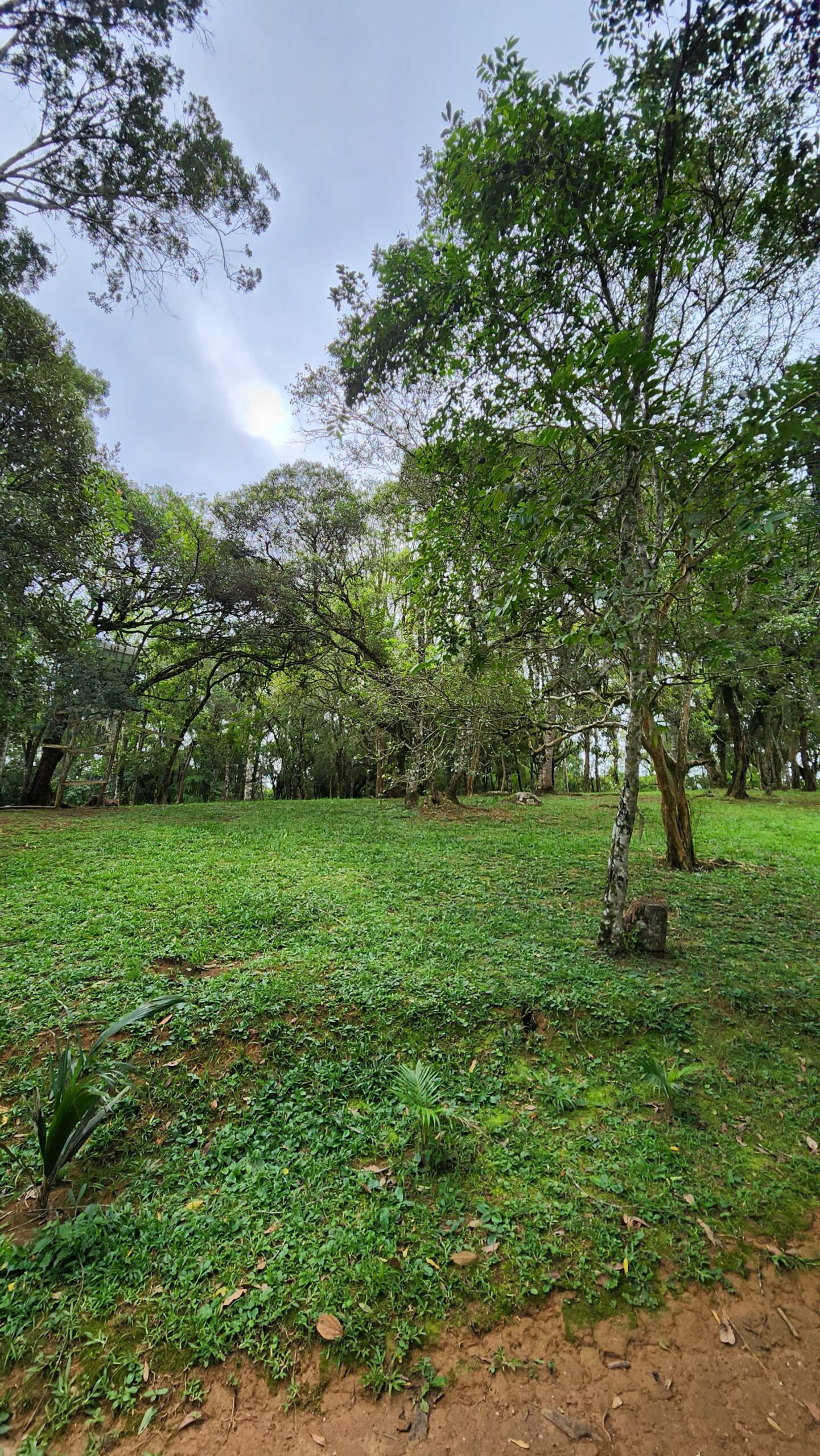 b43c5076-53ba-4f28-9a43-cecafe47b80a