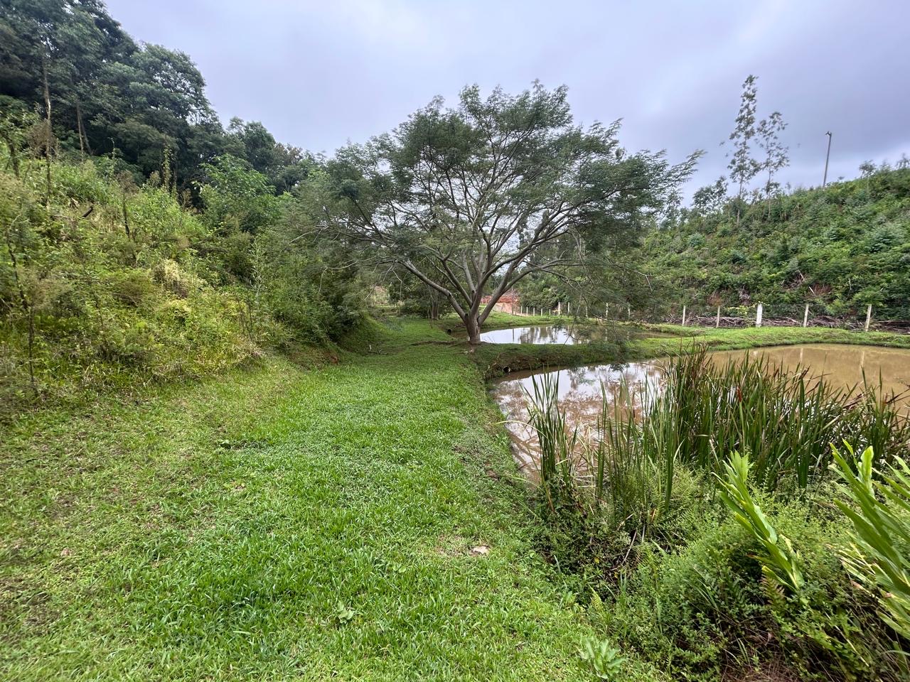 b5910da8-eb75-424c-9f14-5b9174a682f3