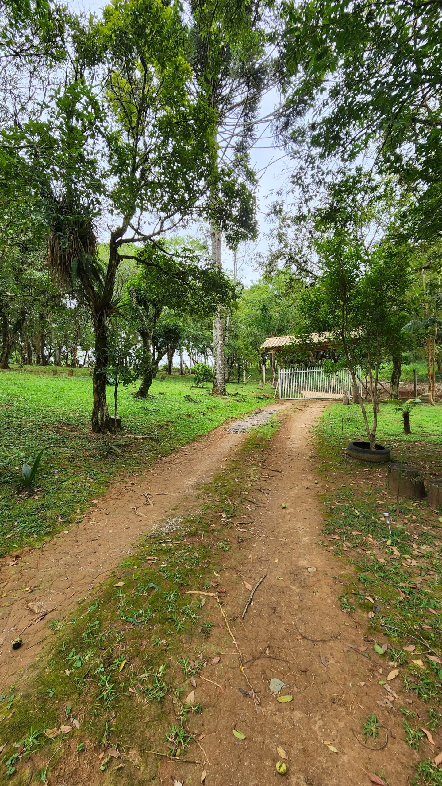 d54eb237-667c-42c6-bec8-1ee048fe3093