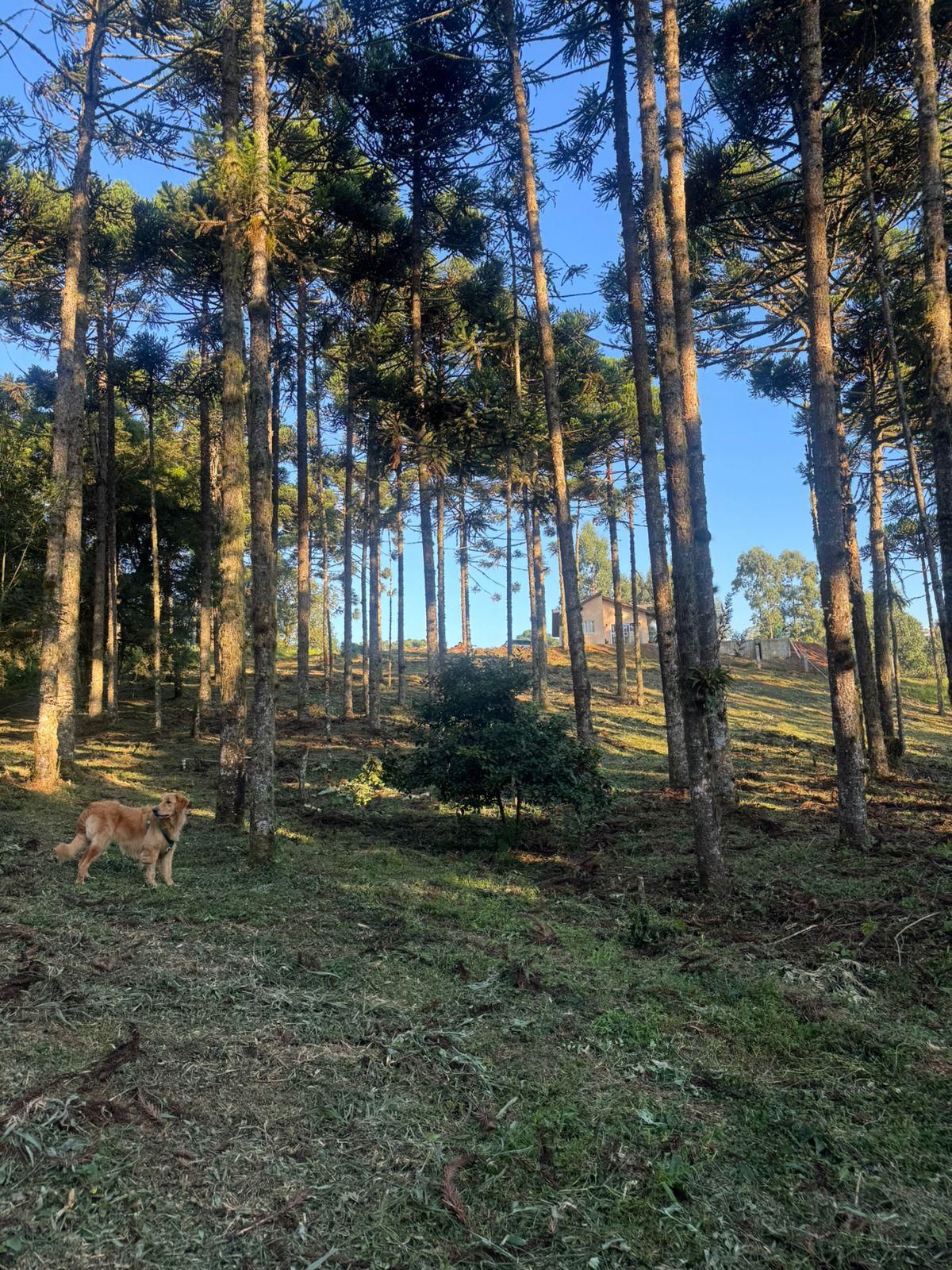 f4cbd402-0739-496e-a973-7ce279793818