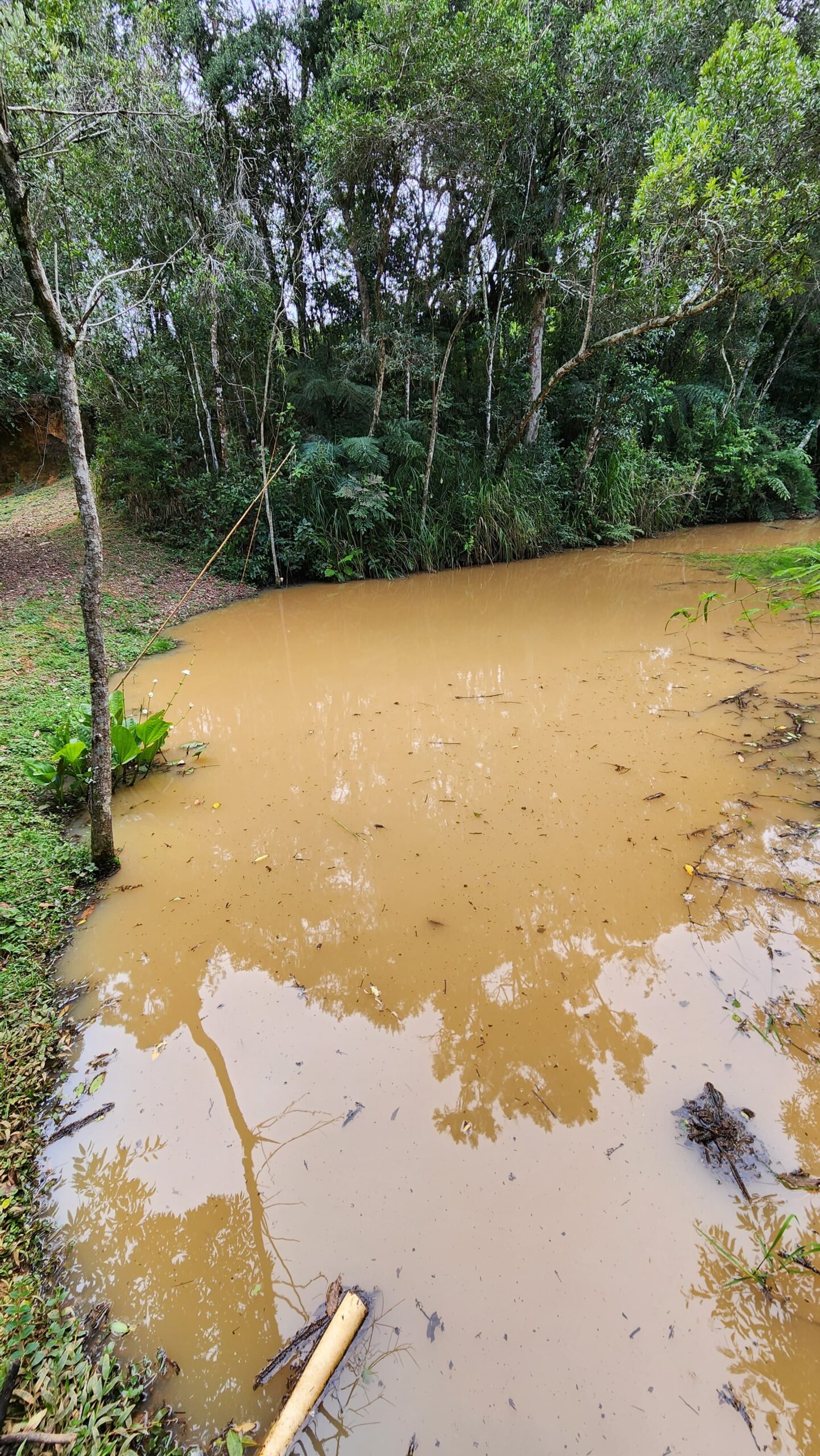 f4e6d744-813e-4c2e-8801-b48cfbe6da3e