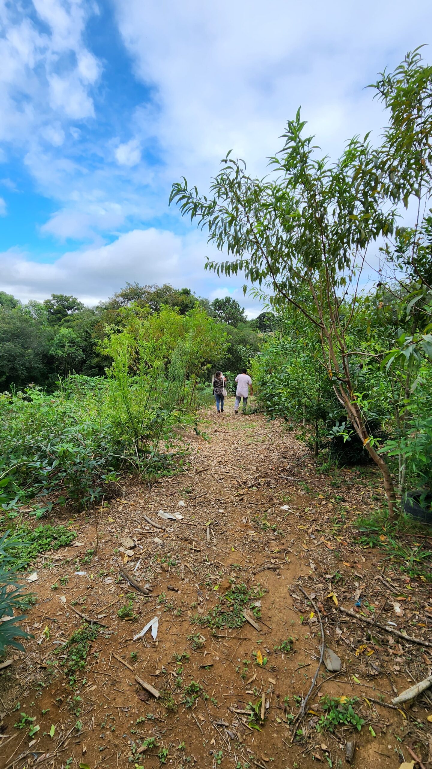 f5617d88-7eb3-45d8-a7f4-e6e57a8c9ca6